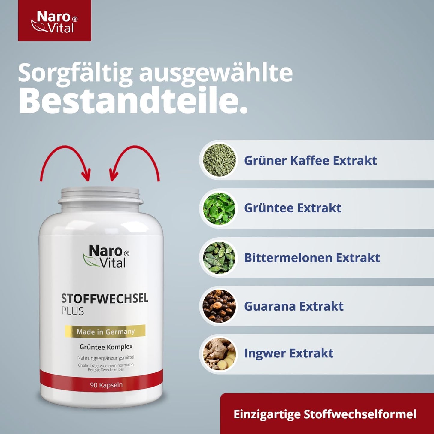 Complesso di metabolismo - Altamente dosato con tè verde, caffè verde, melone amaro, guana, colina e zenzero - 90 capsule di metabolismo vegano - compresse di supporto dietetico I Narovital Metabolism Plus