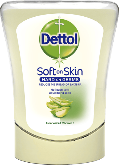 DETTOL NO TACCHI RIMBATO ALOE VERA 250 ML