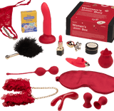 Sinful Women's Pleasure Box