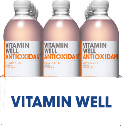Vitamin Well Antioxidante 12x05L Pet